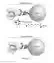 Fig. 16 - Modified guide RNAs, CRISPR-ribonucleotprotein complexes and methods of use
