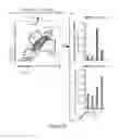 Fig. 22 - Modified guide RNAs, CRISPR-ribonucleotprotein complexes and methods of use