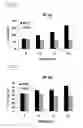 Fig. 07 - RNA Modulating Oligonucleotides with Improved Characteristics for the Treatment of Duchenne and Becker Muscular Dystrophy