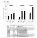 Fig. 09 - RNA Modulating Oligonucleotides with Improved Characteristics for the Treatment of Duchenne and Becker Muscular Dystrophy