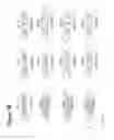 Fig. 08 - RNA interference mediated inhibition of gene expression using short interfering nucleic acids (siNA)