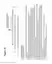 Fig. 09 - RNA interference mediated inhibition of gene expression using short interfering nucleic acids (siNA)