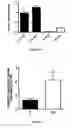 Fig. 03 - THERAPEUTIC AND DIAGNOSTIC MOLECULES