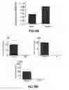 Fig. 06 - THERAPEUTIC AND DIAGNOSTIC MOLECULES