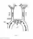 Fig. 02 - Methods and compositions for managing vascular conditions