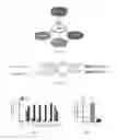 Fig. 07 - Methods and compositions for managing vascular conditions