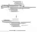 Fig. 02 - THERAPEUTIC