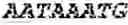 Fig. 07 - THERAPEUTIC