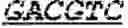 Fig. 35 - THERAPEUTIC