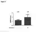 Fig. 07 - Recombinant protein production