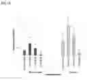 Fig. 08 - Transcription factors that regulate nicotine biosynthesis in tobacco