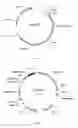 Fig. 02 - Gene for encoding crystal proteins, and use thereof