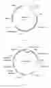 Fig. 06 - Gene for encoding crystal proteins, and use thereof