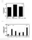 Fig. 06 - Recombinant expression vector and lipid membrane structure having said vector encapsulated therein