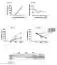 Fig. 02 - AAV-ANTI PCSK9 ANTIBODY CONSTRUCTS AND USES THEREOF