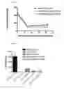 Fig. 04 - AAV-ANTI PCSK9 ANTIBODY CONSTRUCTS AND USES THEREOF