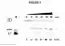 Fig. 06 - Nucleic acid catenane with a linking duplex biosensor for detection of a microorganism target