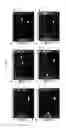 Fig. 08 - Primers and kits for colony multiplex PCR for the detection of class A, B, C, and D beta-lactamase genes and methods of using thereof