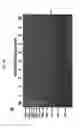 Fig. 40 - Primers and kits for colony multiplex PCR for the detection of class A, B, C, and D beta-lactamase genes and methods of using thereof