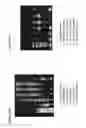 Fig. 32 - Methods and Compositions for Target Detection in a Nanopore Using a Labelled Polymer Scaffold
