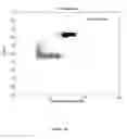 Fig. 49 - Methods and Compositions for Target Detection in a Nanopore Using a Labelled Polymer Scaffold