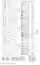Fig. 06 - Confirmation test for primary nucleic acid amplification products in a continuous reaction setup and immediate analysis via immunochromatographic methods