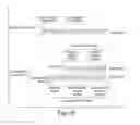 Fig. 03 - COMPOSITIONS OF TOEHOLD PRIMER DUPLEXES AND METHODS OF USE