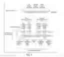 Fig. 08 - COMPOSITIONS OF TOEHOLD PRIMER DUPLEXES AND METHODS OF USE