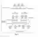 Fig. 09 - COMPOSITIONS OF TOEHOLD PRIMER DUPLEXES AND METHODS OF USE