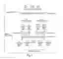 Fig. 10 - COMPOSITIONS OF TOEHOLD PRIMER DUPLEXES AND METHODS OF USE