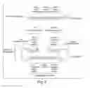 Fig. 11 - COMPOSITIONS OF TOEHOLD PRIMER DUPLEXES AND METHODS OF USE