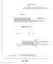 Fig. 13 - COMPOSITIONS OF TOEHOLD PRIMER DUPLEXES AND METHODS OF USE