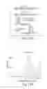 Fig. 23 - COMPOSITIONS OF TOEHOLD PRIMER DUPLEXES AND METHODS OF USE