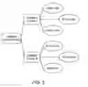 Fig. 06 - Method of identifying disease risk factors