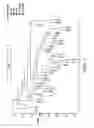 Fig. 02 - METHODS FOR IDENTIFICATION OF NOVEL GENES FOR MODULATING PLANT AGRONOMIC TRAITS