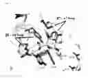 Fig. 04 - Glycosyl hydrolase xylanases, compositions and methods of use for efficient hydrolysis and processing of xylan