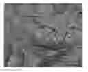 Fig. 01 - Material for cold rolled stainless steel sheets, method for manufacturing the same, and cold rolled steel sheet