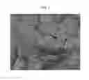 Fig. 02 - Material for cold rolled stainless steel sheets, method for manufacturing the same, and cold rolled steel sheet