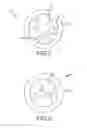 Fig. 05 - Device and method for concealing a flange of a wastewater strainer