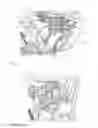 Fig. 03 - Device for mechanically preventing automatic opening of a vehicle door and vehicle having such a device
