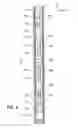 Fig. 07 - Method and apparatus for wellbore fluid treatment