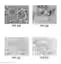 Fig. 04 - Multicolor fluorescent silica nanoparticles as tracers for production and well monitoring