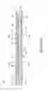 Fig. 07 - Apparatus and method for testing an oil and/or gas well with a multiple-stage completion
