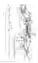 Fig. 02 - Engine component with cooling passages