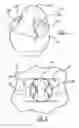 Fig. 07 - Engine valve lifter having anti-rotation plug