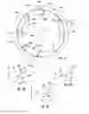 Fig. 13 - High tip speed gas turbine engine