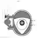 Fig. 02 - Augmented Compression Engine (ACE)