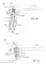 Fig. 22 - Reconfigurable surgical frame and method for use thereof