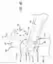 Fig. 41 - Reconfigurable surgical frame and method for use thereof