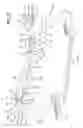 Fig. 53 - Reconfigurable surgical frame and method for use thereof